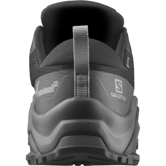 Salomon X Reveal 2 GTX